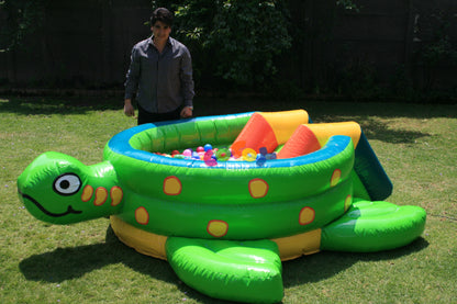 Tortuga con pelotas