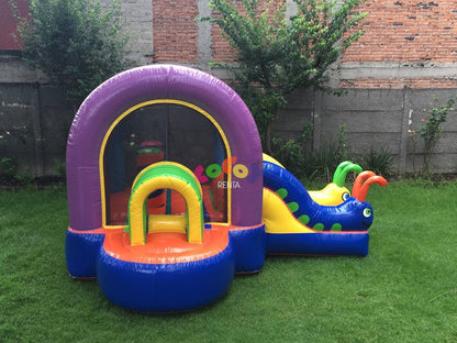 Mini Igloo Con Resbaladilla
