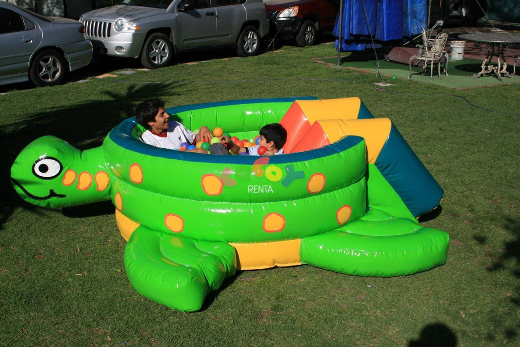Tortuga con pelotas
